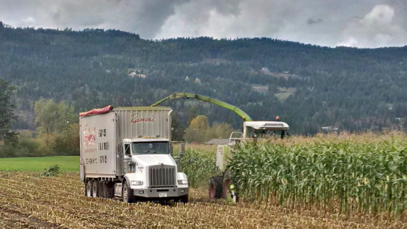 Farm Services including silage cutting, transport and bulk trucking in the Okanagan, BC