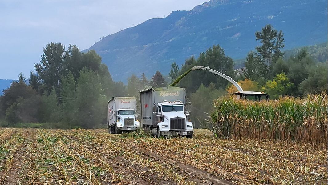 Farm Services including silage cutting, transport and bulk trucking in the Okanagan, BC